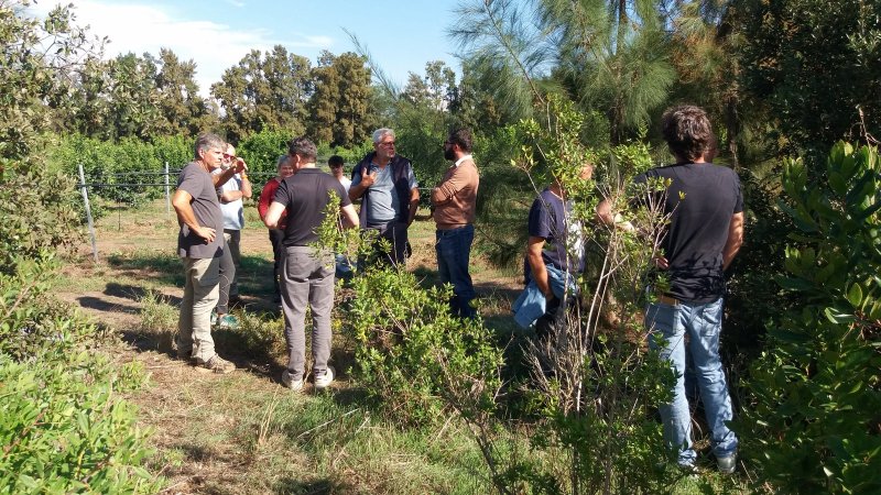 Un groupe de participants &eacute;change entre les haies et les arbres de l'exploitation agricole de Borgo.