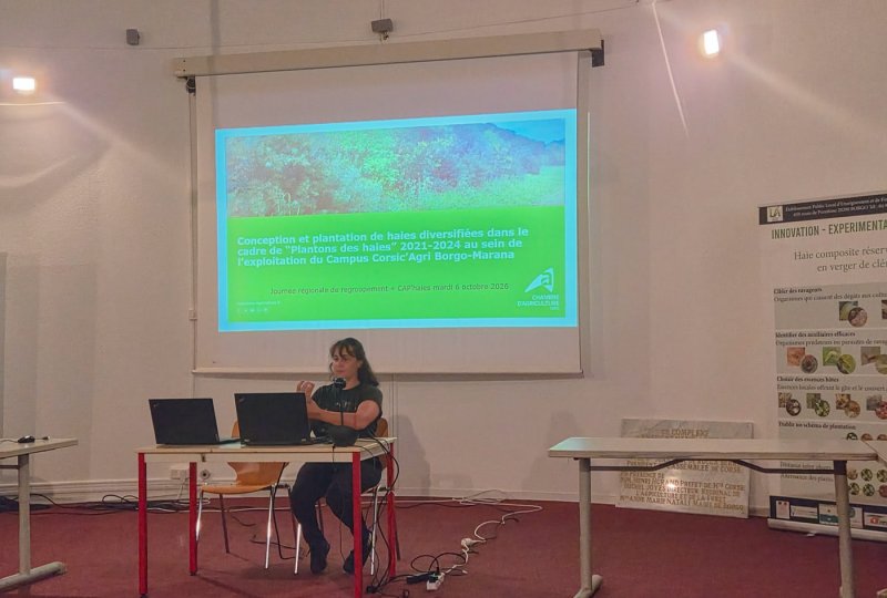 Une intervenante au microphone devant une diapositive sur la conception et la plantation de haies &agrave; Borgo. Le JPEG ant&eacute;rieur contient &laquo; presentation-clemabri &raquo; dans son nom : ne pas reprendre cette d&eacute;signation comme l&eacute;gende.